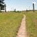 McLaughlin Farms, LTD